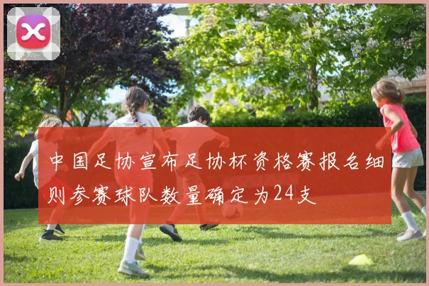 中国足协宣布足协杯资格赛报名细则参赛球队数量确定为24支